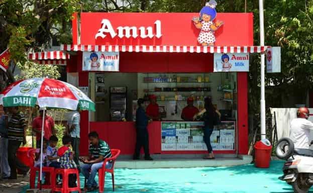 Want to make money? Here is how to milk Amul for income