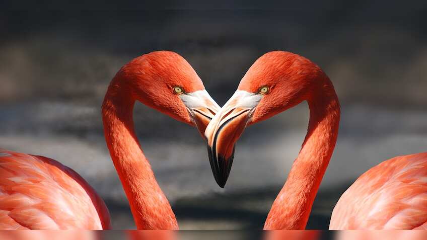 Best financial gifts for Valentine's Day 2019: Keep your spouse happy with this five-point checklist