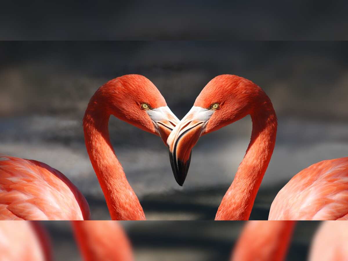 Best Financial Gifts For Valentine's Day 2019: Keep Your Spouse Happy