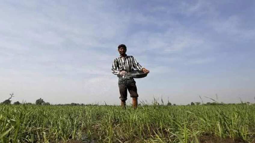  PM Kisan Samman Nidhi Scheme Benefit: Rs 6000 support may lead to Rs 24000 credit to farmers; Here's how