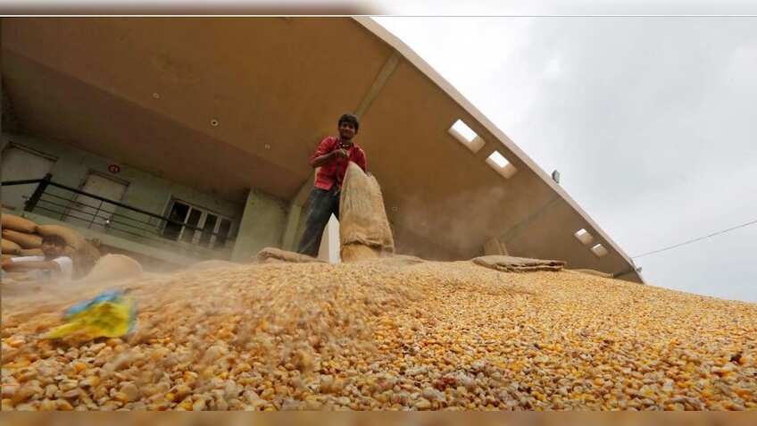 MMTC plans to import corn at lower duties