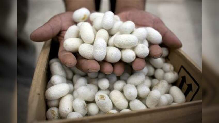 Centre trying to implement Rs 900 cr sericulture projects in North East