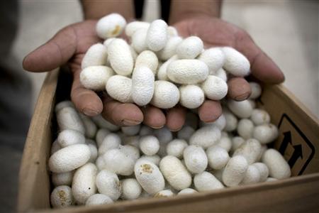 Centre trying to implement Rs 900 cr sericulture projects in North East