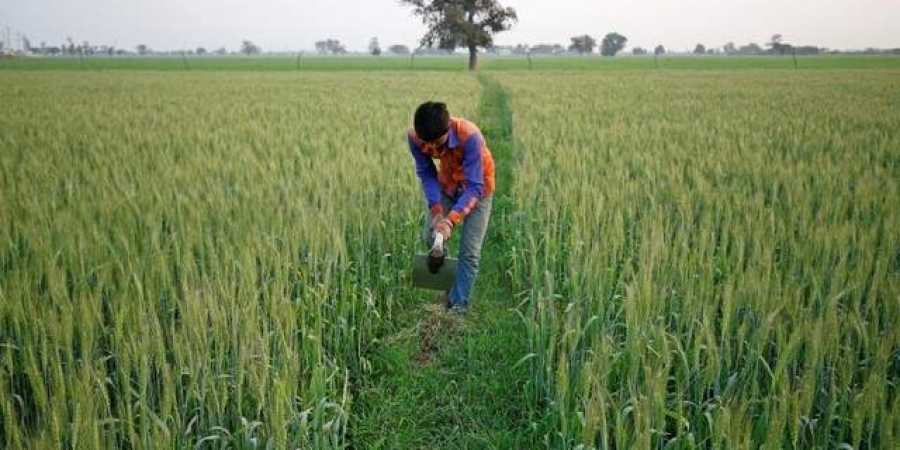 Scheme announced for Haryana farmers, families having income less than Rs 15,000 per month