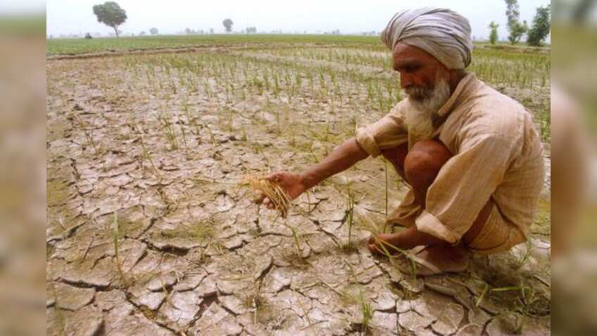 Punjab government approves debt relief plan for farm labourers