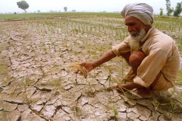 Punjab government approves debt relief plan for farm labourers