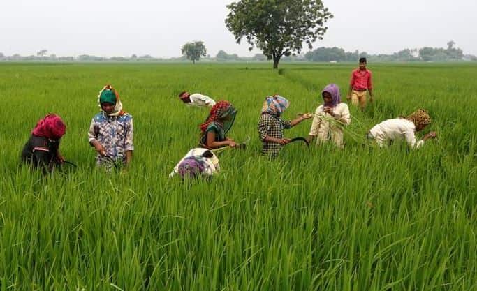 From no drinking water to fluttering green crops: How fortunes of this Madhya Pradesh village changed 