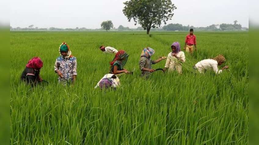 From no drinking water to fluttering green crops: How fortunes of this Madhya Pradesh village changed 