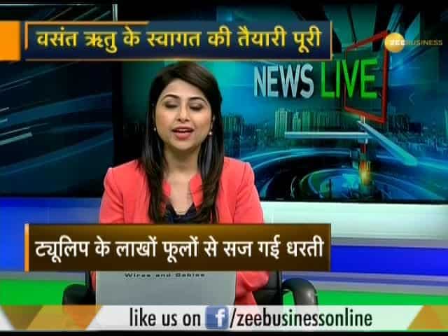 Asia's largest tulip garden will be open for visitors from 1st April