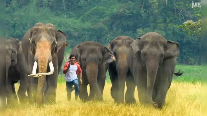 Junglee box office collection: Vidyut Jammwal, Asha Bhat starrer earns Rs 7.7 cr in 2 days