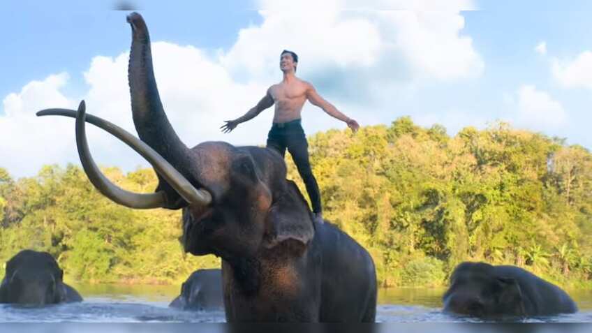 Junglee box office collection: Vidyut Jammwal starrer recovers, earns Rs 13.85 cr
