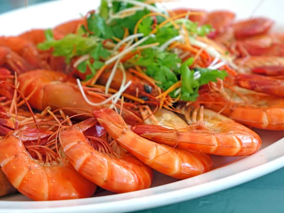 Shrimp business to bring revival for these farmers - You should buy this stock to get rich ahead