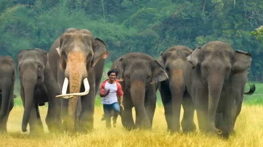 Junglee box office collection day 4: Vidyut Jammwal starrer witnesses low earning, despite positive reviews