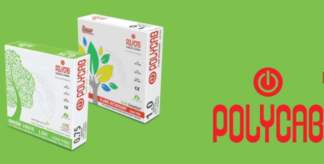 Polycab India raises Rs 401 cr from anchor investors