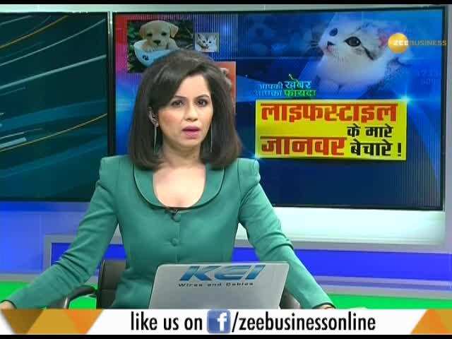 How To Keep Your Beloved Pets With Care