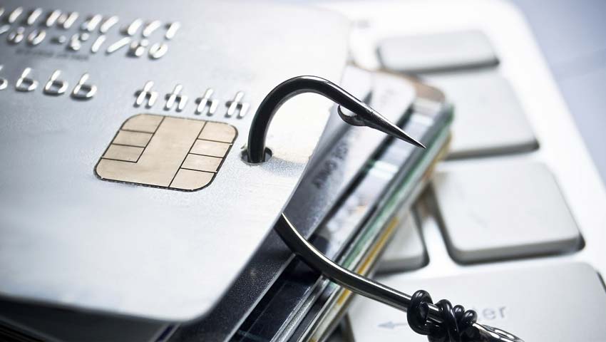 Credit card reward points fraud alert! Don't lose your money, stay safe, do this