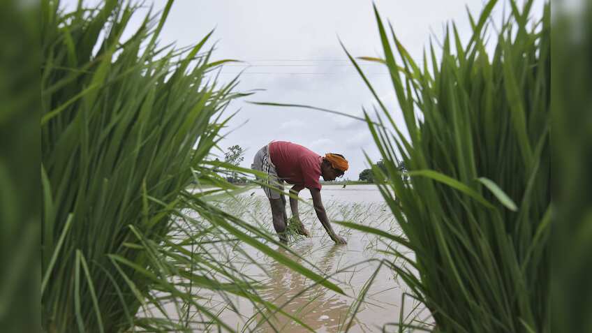 Monsoon likely to be normal this year, says IMD