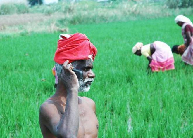 How harnessing smartphone technology can help Indian farmers
