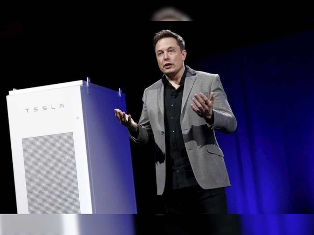 Tesla&#039;s Elon Musk agrees to new vetting rules