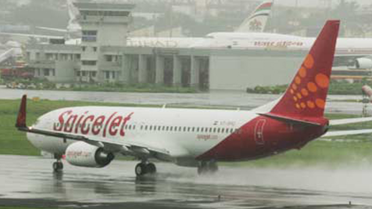SpiceJet to launch daily non-stop Mumbai-Jeddah service from
