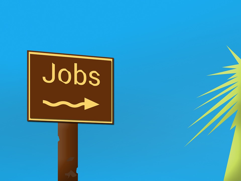 NITI Aayog Recruitment 2019: 87 vacancies up for