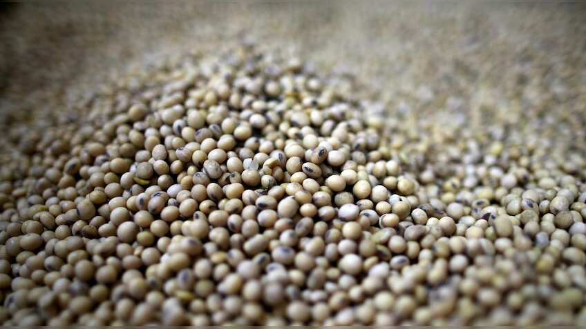 Farmers set to plant more land with soybean crops as prices rally