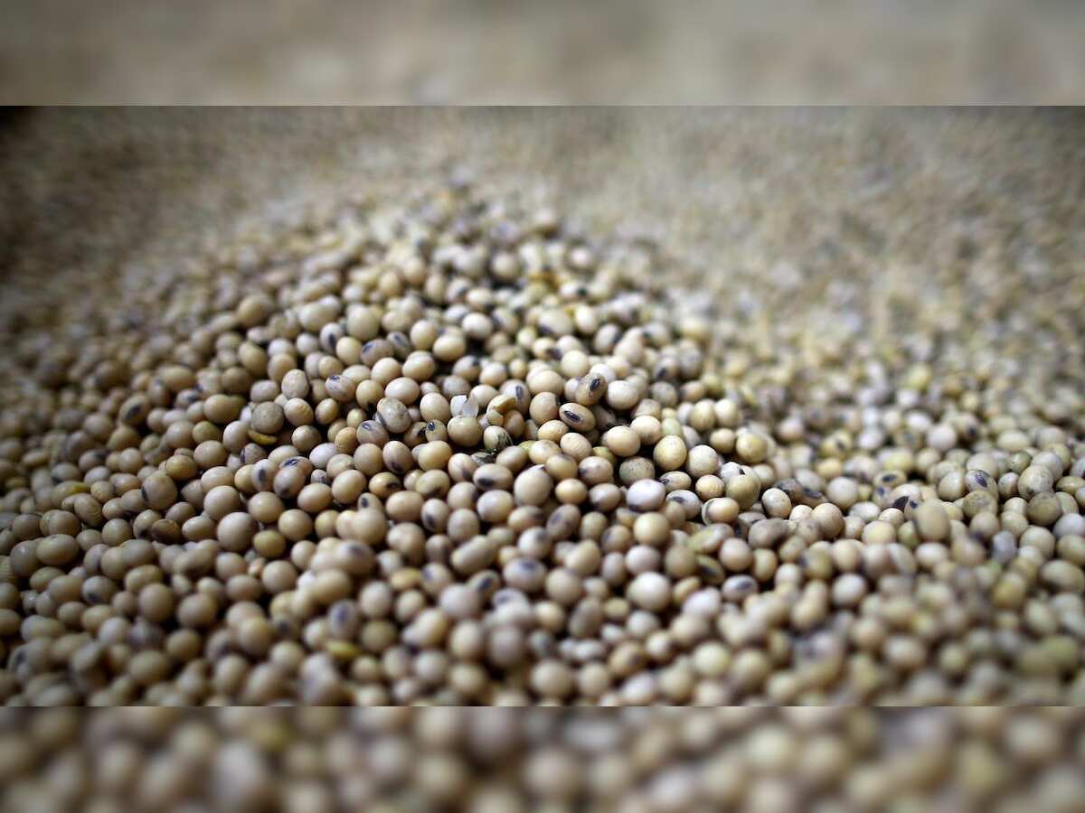 Farmers set to plant more land with soybean