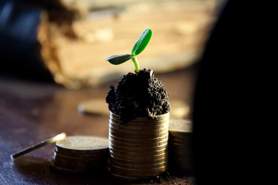 Latest Fixed Deposit rates:  What SBI, HDFC, ICICI Bank and PNB  are offering this summer