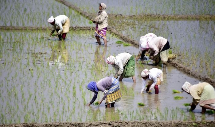 PM-Kisan Pension: Farmers' contribution to be Rs 100/month