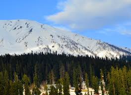 Vacay alert! Embark on trip to Kashmir with IRCTC package - Check out fare, schedule and other details