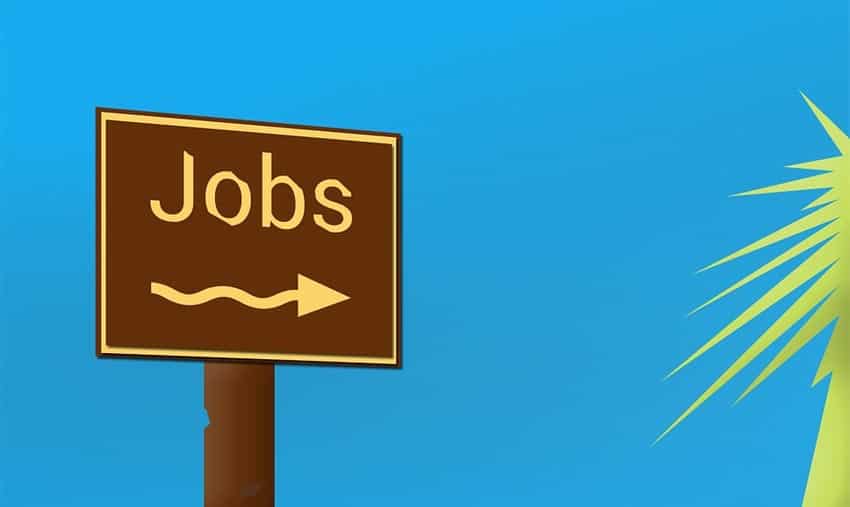 ARIAS Recruitment 2019: Walk-In for District Horticulture Coordinator Posts on 29 June, salary up to Rs 6 lakh p.a