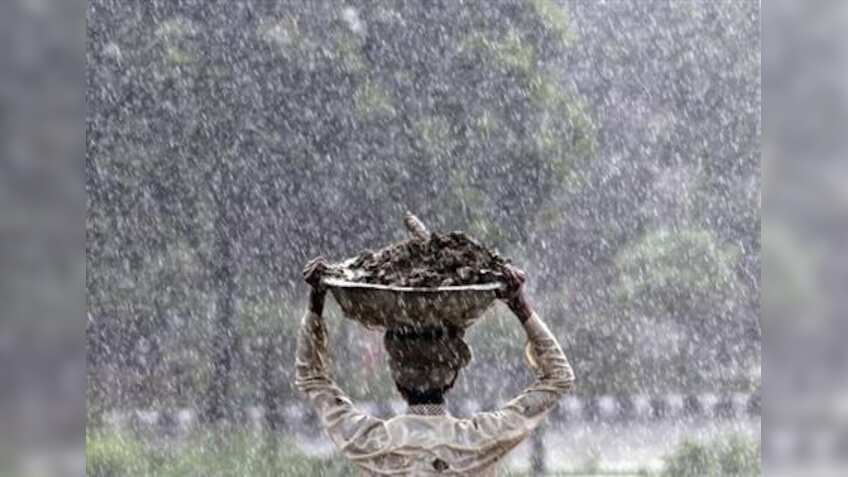 Late, but not too late! From Rallis India to Dhanuka Agritech, Monsoon makes these 5 stocks best bets on D-Street 