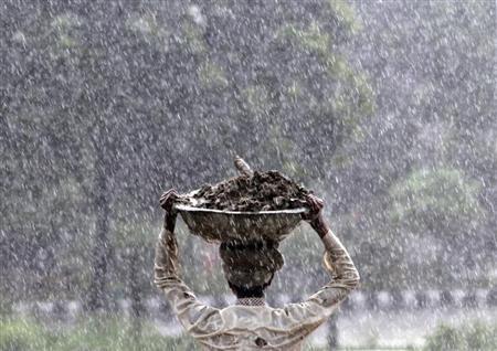 Late, but not too late! From Rallis India to Dhanuka Agritech, Monsoon makes these 5 stocks best bets on D-Street