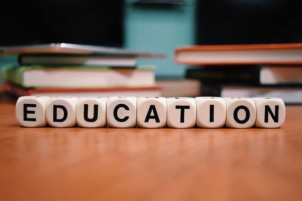 Budget 2019: Education sector has high expectation from Nirmala Sitharaman; demands cut in GST