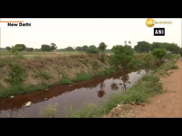 Farmers use toxic drain water for growing vegetables in Delhi’s Mungeshpur village