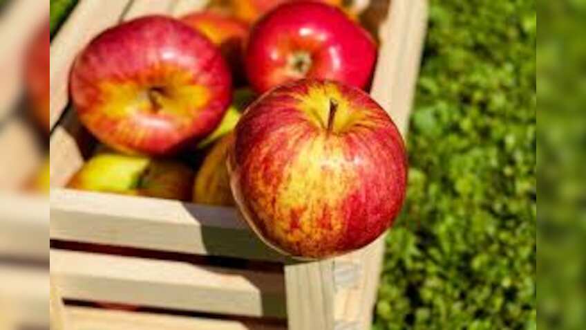 An apple a day is 100 mn bacteria! Is it good or bad for your stomach? Find out