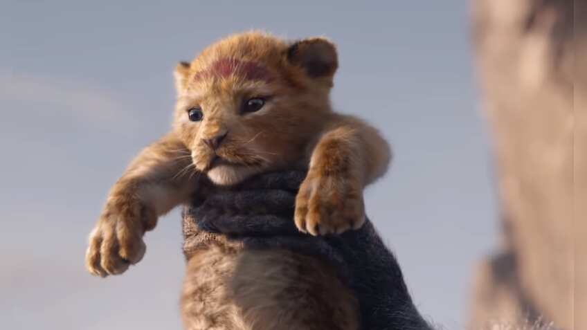 The Lion King roars at the box office; set to enter Rs 100 crore club!