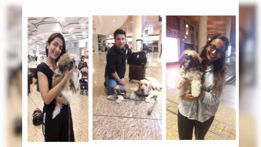 Mumbai Airport fields Angel, Muffin and Cookie to help passengers beat jet lag! It will bring a smile to your face