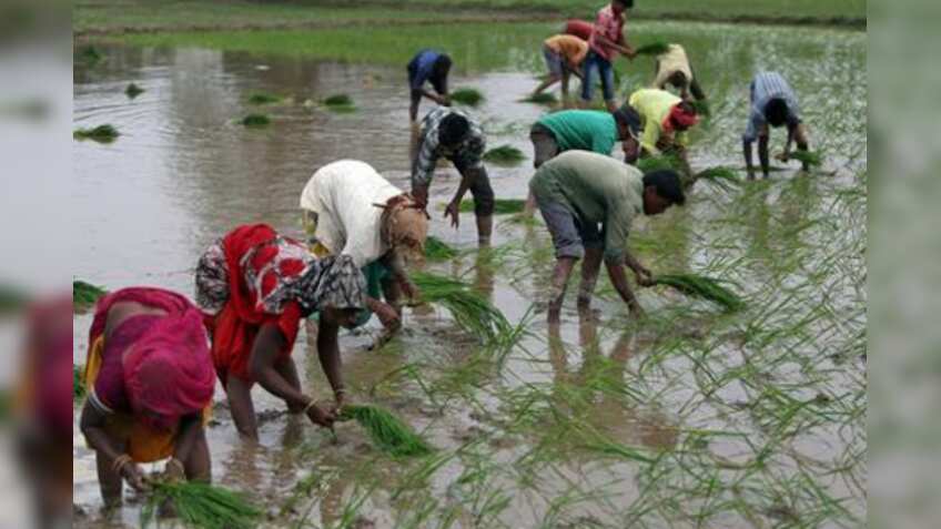 PM Kisan Samman Nidhi Yojana: Rs 6000 subsidy - Farmers can now directly enroll at pmkisan.gov.in