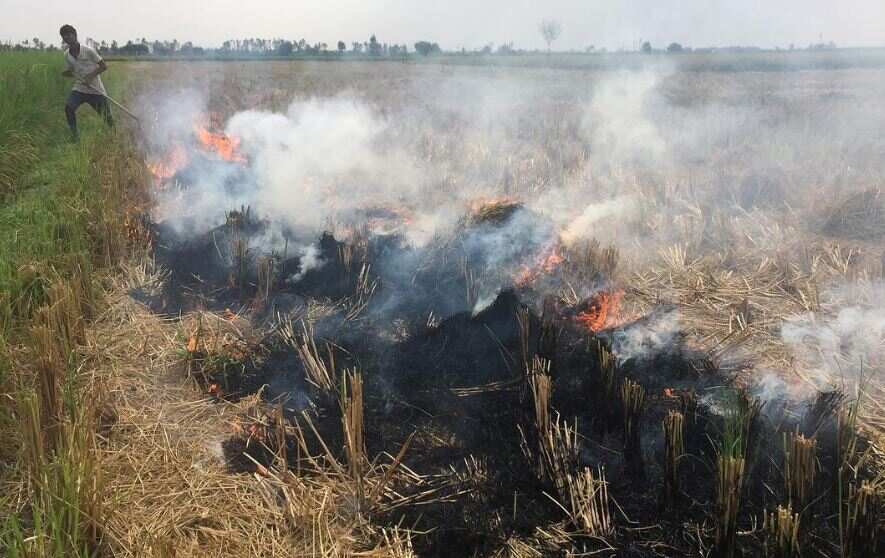 Air pollution: 30% rise in stubble burning cases in Punjab