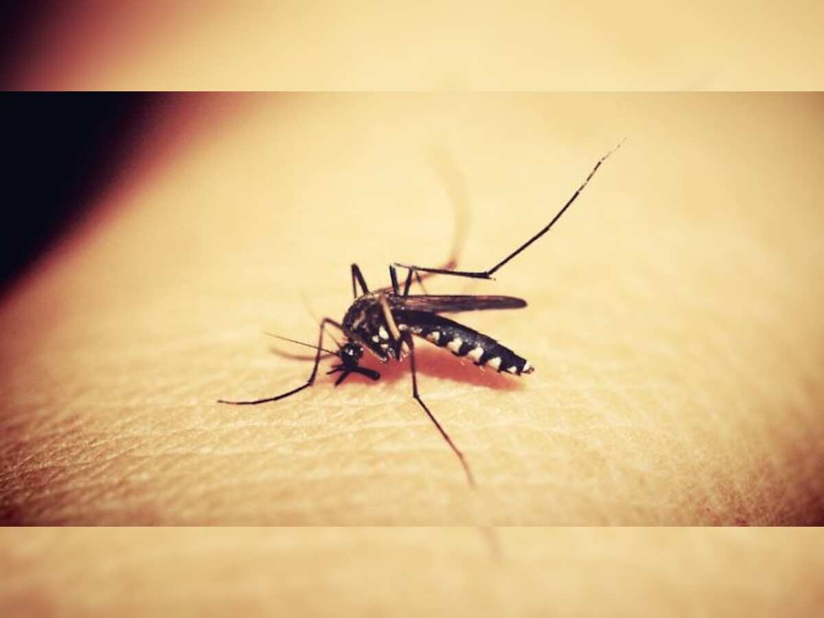 Mosquitoes and medical costs got you scared? Get