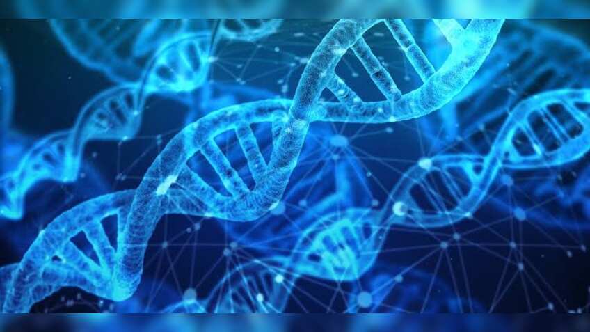 Mutations in gene linked to heart failure discovered