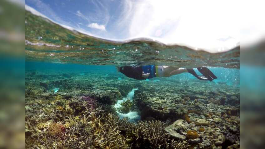 Ocean oxygen loss threatens aquatic species: Report