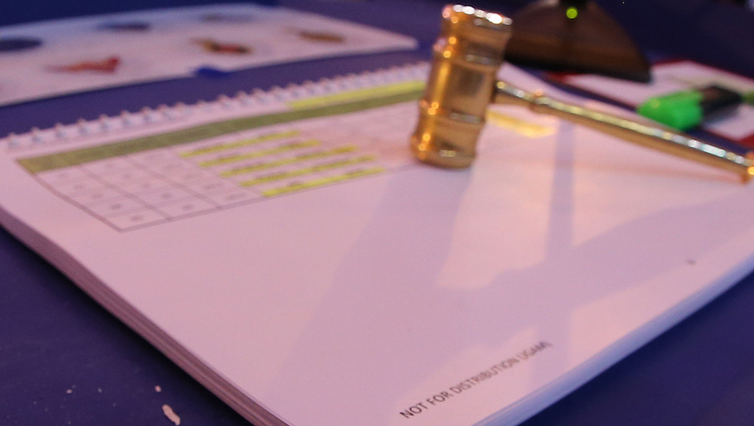 IPL auction 2020: Full list of 332 players to go under hammer with their base price