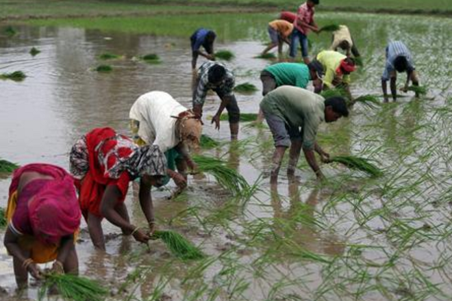 How agricultural technologies can help increase farmer income, farm yield