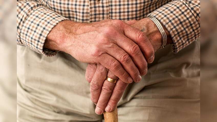 Retirement Money Calculator: Which mutual fund plan is best for you? Find out