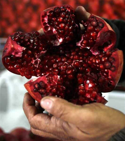  Pomegranate