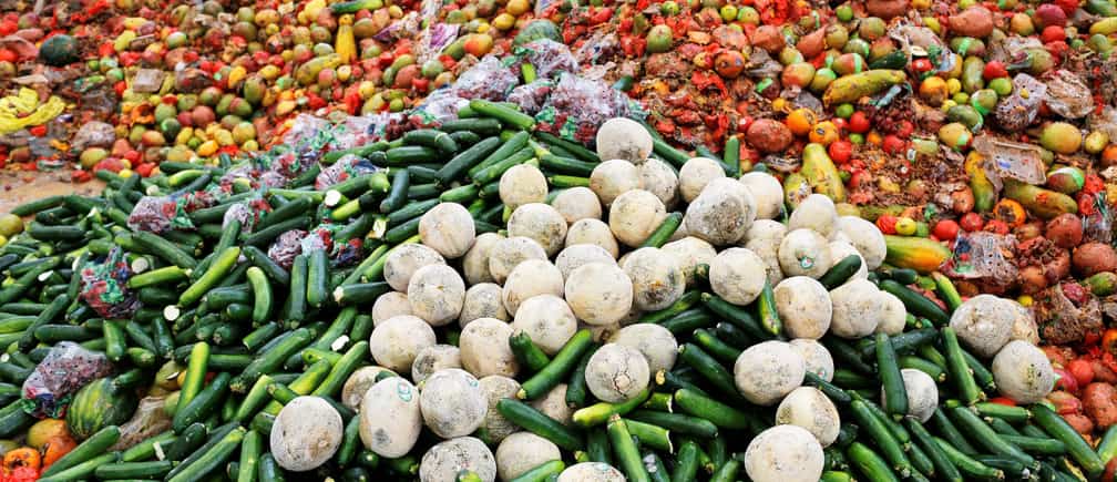 Vocal for Local: FM Sitharaman announces Rs 10,000 crore for Micro Food Enterprises