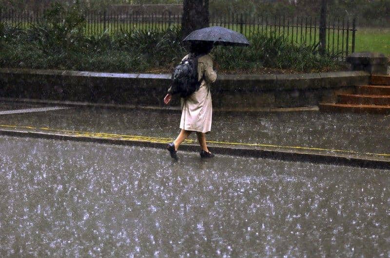 IMD Monsoon progress update: Good rainfall activity expected next week