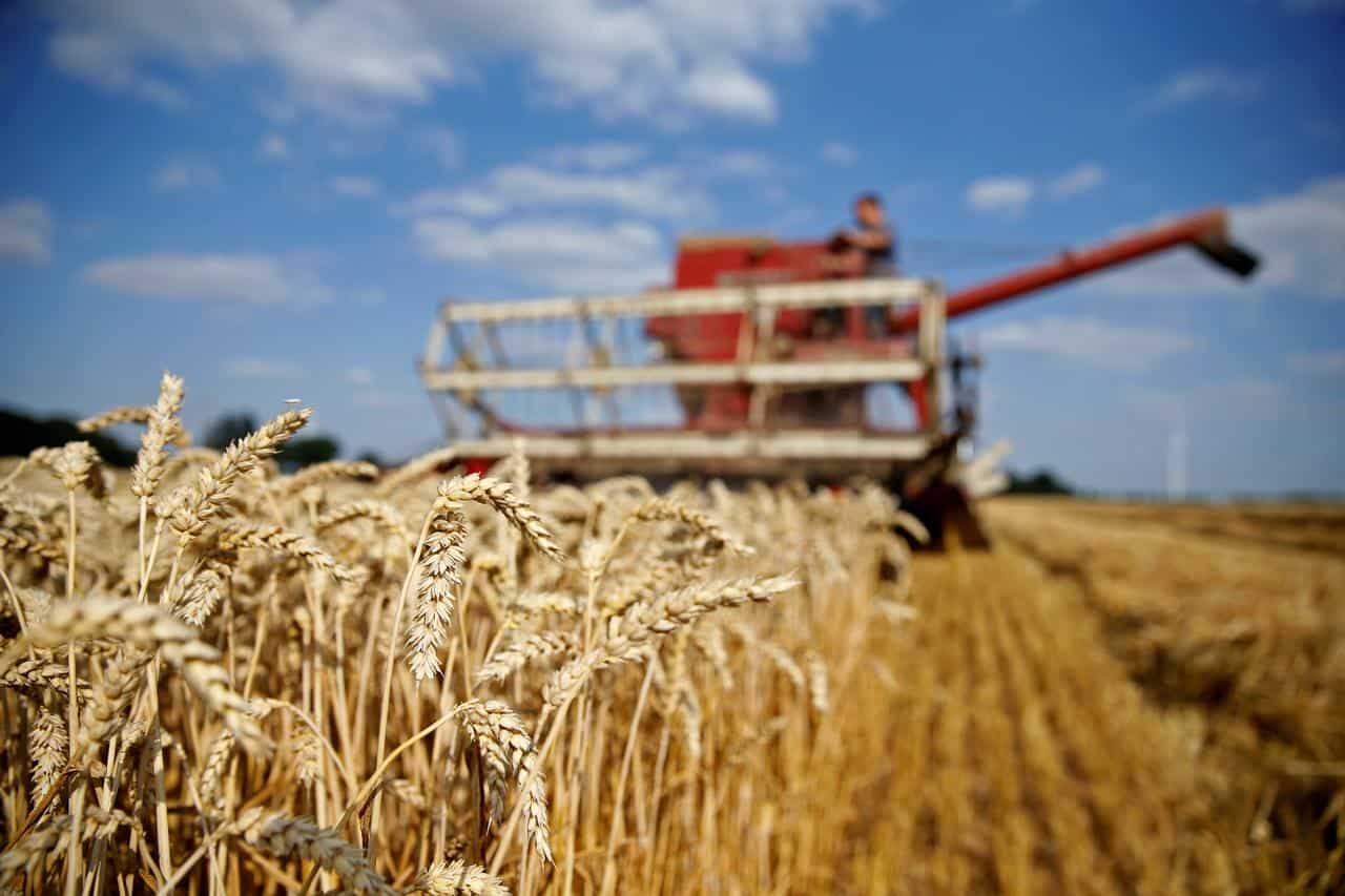 Record wheat procurement at 388.34 lakh tons